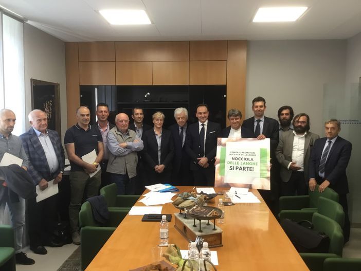 Il Tar dà ragione al territorio sulla nocciola, Cirio: "Sentenza che difende giuridicamente il nome Langhe"