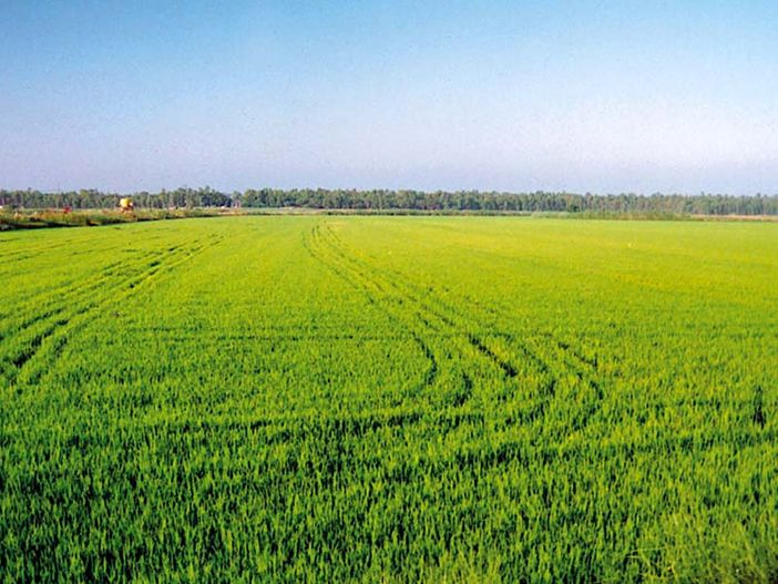 Immagine di repertorio