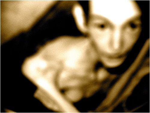 Fitto calendario di incontri per celebrare la giornata della memoria a Fossano