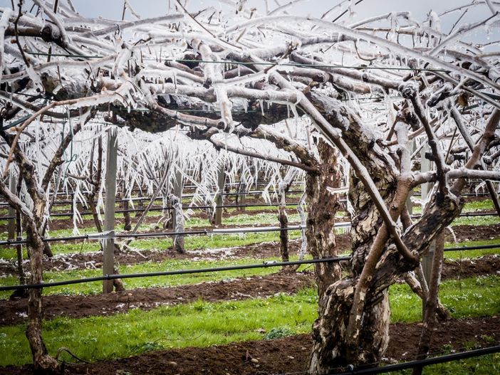 Immagine di repertorio