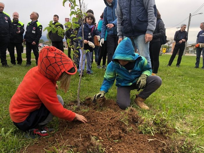 Plastic Free ha raccolto oltre duemila chili di rifiuti sul sentiero delle coccinelle di Passatore Plastic Free ha raccolto oltre duemila chili di rifiuti sul sentiero delle coccinelle di Passatore