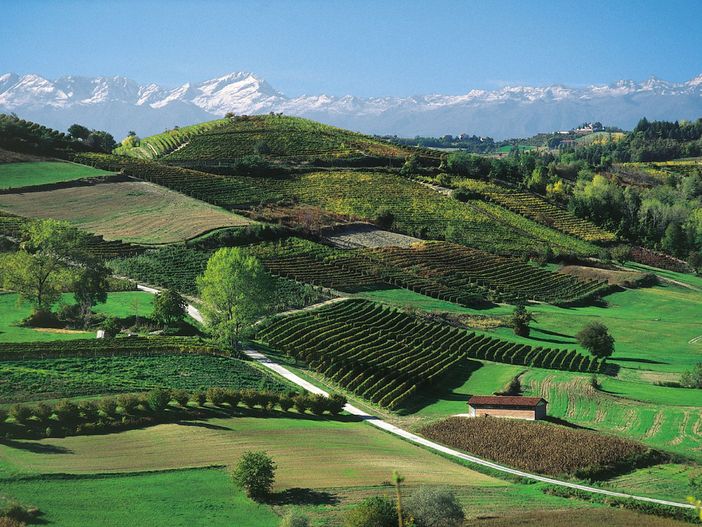 Langhe e Roero: positivo il bilancio dell'iniziativa "Monviso Unesco: un patrimonio per tutti" Langhe e Roero: positivo il bilancio dell'iniziativa "Monviso Unesco: un patrimonio per tutti"