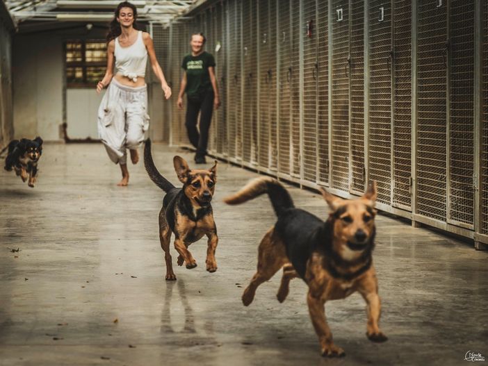 Foto Davide Comandù Foto Davide Comandù