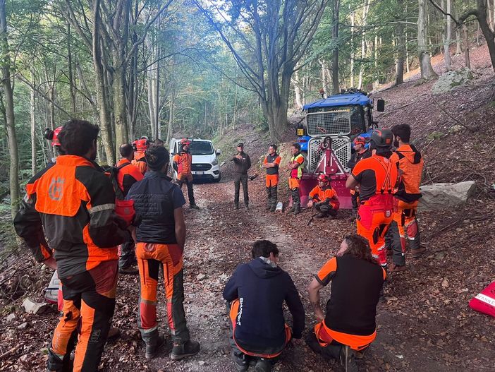 Laboratori di selvicoltura al Parco naturale del Marguareis