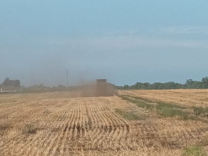 A Salmour scatta l'obbligo immediato di interrare compost e fertilizzanti: “Cattivi odori insostenibili” A Salmour scatta l'obbligo immediato di interrare compost e fertilizzanti: “Cattivi odori insostenibili”