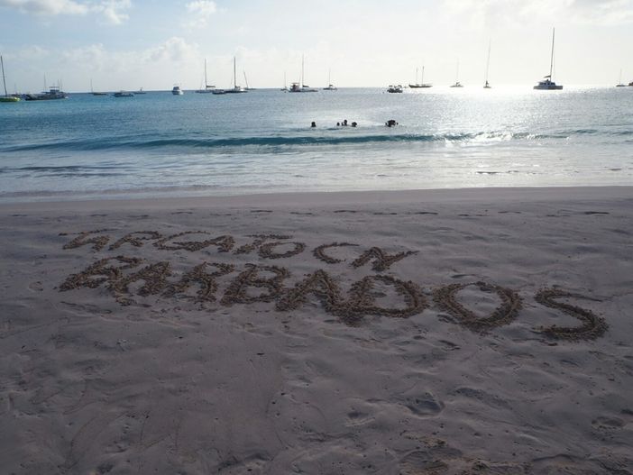 Anche Max &amp; co dalle Barbados leggono Targatocn... e tu?