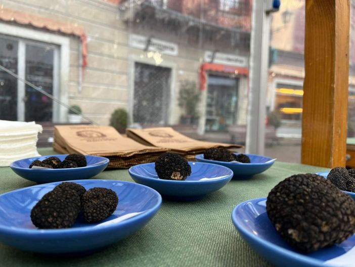 Un seminario online per conoscere “Tartufi e tartufaie” Un seminario online per conoscere “Tartufi e tartufaie”