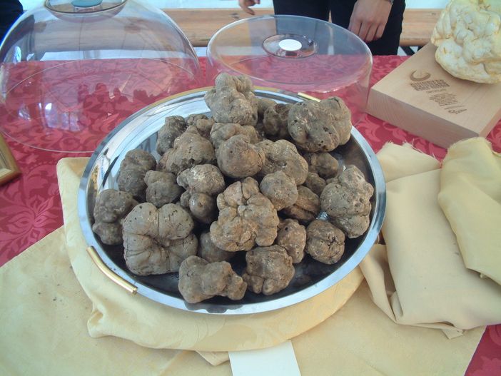 Alba: divieti di sosta per l’inaugurazione della Fiera internazionale del Tartufo bianco