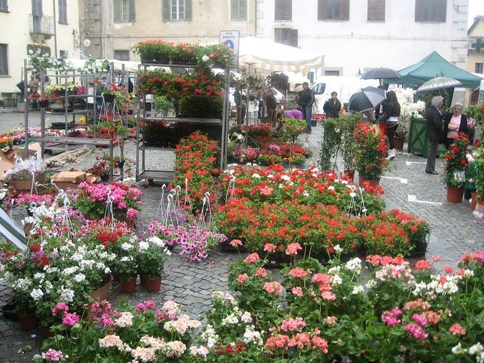 Piazza san Giovanni  “ fiorita e variopinta “ per un giorno