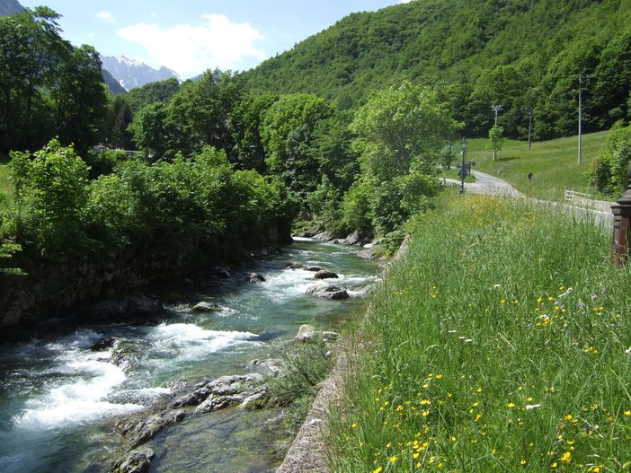 Una camminata letteraria nei boschi della Valle Pesio