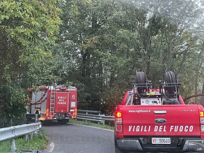 Alberi pericolanti: intervento dei Vigili del fuoco in via vecchia di Cuneo a Mondovì