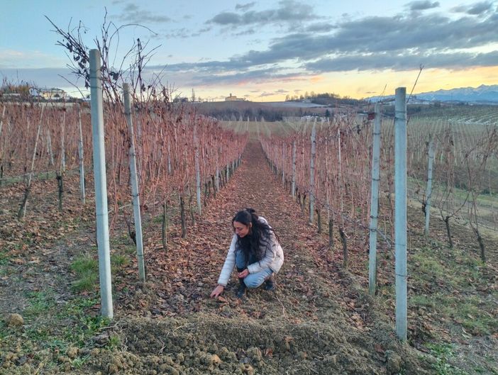 Langa Cruda: l'artista Sara Melis trasforma la terra dei vigneti langaroli in opere d'arte Langa Cruda: l'artista Sara Melis trasforma la terra dei vigneti langaroli in opere d'arte