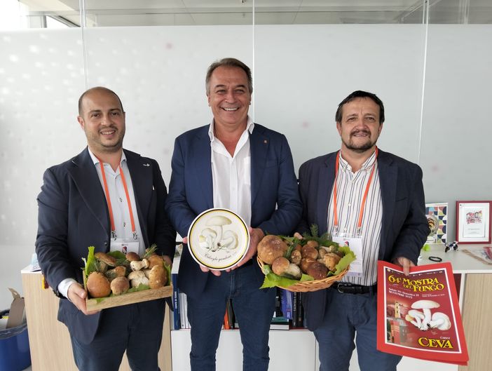 Il fungo cebano “sale” sul grattacielo della Regione Il fungo cebano “sale” sul grattacielo della Regione
