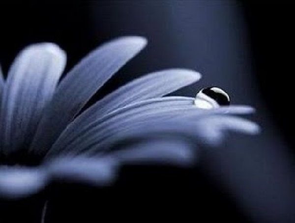 Sanfront, rinviata la camminata “Dui pas en salute” di oggi, in segno di lutto per la morte di Enrico Ferrato