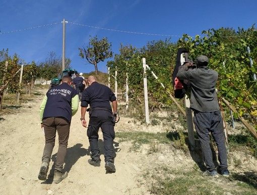 Controlli nelle vigne