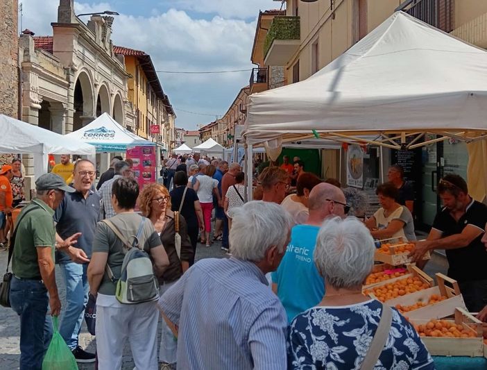 “Fera d’la Tonda”: a Costigliole Saluzzo si festeggia l’albicocca