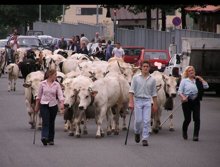 Con il film “Marghè Marghier”si racconta la vita dei margari piemontesi