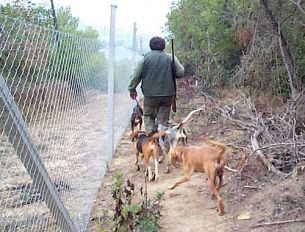 Il tar Piemonte blocca la caccia, preoccupazione di Coldiretti