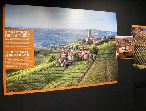 A Priocca è stato inaugurato il nuovissimo Wine Experience, un percorso esperienziale e interattivo per scoprire il mondo affascinante del vino