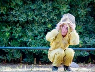 “Il Circo delle Api”: arriva in Alta Valle Maira la missione degli Ambasciatori dei Mieli