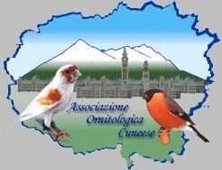 L’Associazione Ornitologica Cuneese vola alto ai Campionati Italiani