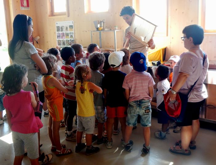 Sabato 13 e domenica 14 dicembre un workshop dedicato ad api e didattica alla Casa del Fiume Sabato 13 e domenica 14 dicembre un workshop dedicato ad api e didattica alla Casa del Fiume