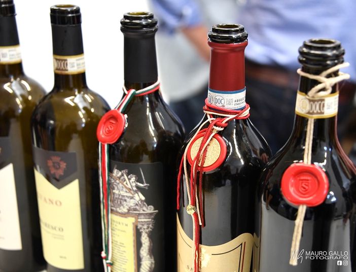 Ph. Mauro Gallo Foto, Alba