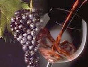 Sabato prossimo ad Alba il prestigioso appuntamento "Nebbiolo Prima Open"