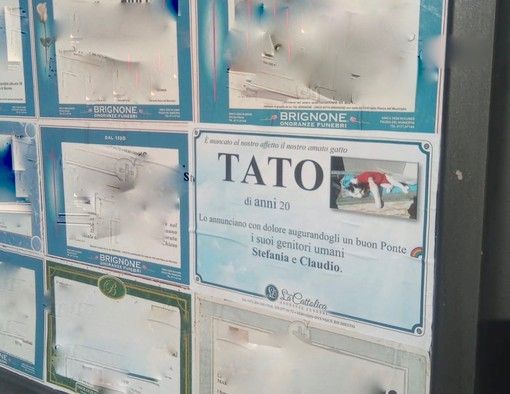 Il gatto Tato apre un dibattito a Cuneo, Boves e Borgo: ci sarà uno spazio per annunciare la morte dei propri animali? Il gatto Tato apre un dibattito a Cuneo, Boves e Borgo: ci sarà uno spazio per annunciare la morte dei propri animali?