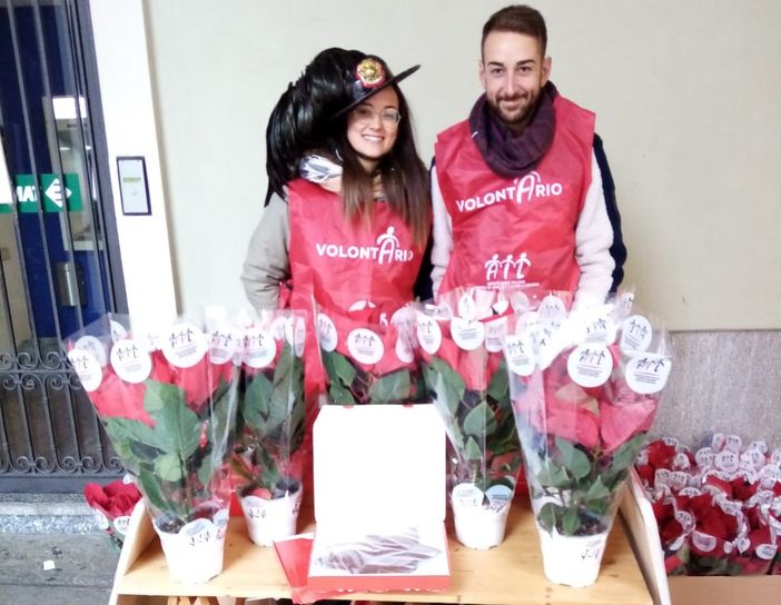 Stelle di Natale e volontari Ail Cuneo a Fossano Stelle di Natale e volontari Ail Cuneo a Fossano