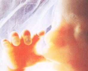 Il Centro di Aiuto alla Vita di Saluzzo propone il concorso “Piccoli e grandi aperti alla vita” Il Centro di Aiuto alla Vita di Saluzzo propone il concorso “Piccoli e grandi aperti alla vita”