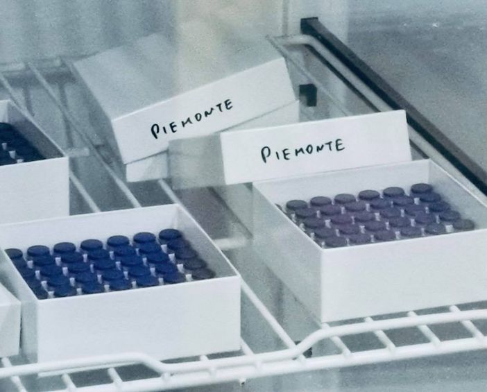 A dicembre open day vaccinali contro il Covid-19 a Mondovì, Saluzzo, Savigliano e Cuneo