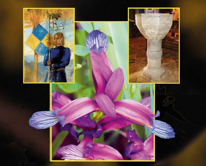 "Montemale in fiore": domenica 14 dicembre la presentazione del libro che racconta flora, paesaggi e leggende della valle Grana