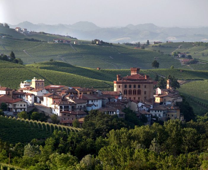 Il Barolo frena, ma non crolla: vendite a +3% nel primo semestre 2020, prezzo dello sfuso a -15% Il Barolo frena, ma non crolla: vendite a +3% nel primo semestre 2020, prezzo dello sfuso a -15%
