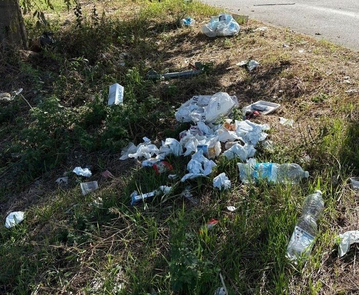 Rifiuti sulle scalinate di Discesa Bellavista, Boselli denuncia il degrado: “Una situazione inaccettabile” [VIDEO]