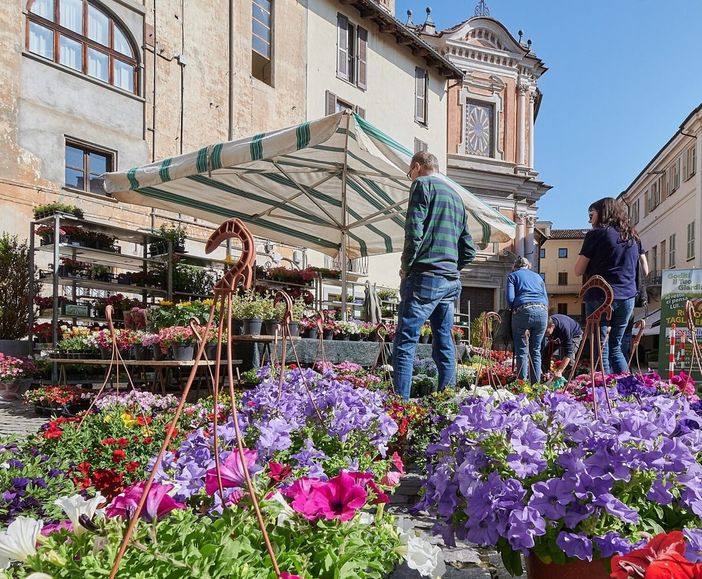 QuintEssenza a Savigliano QuintEssenza a Savigliano