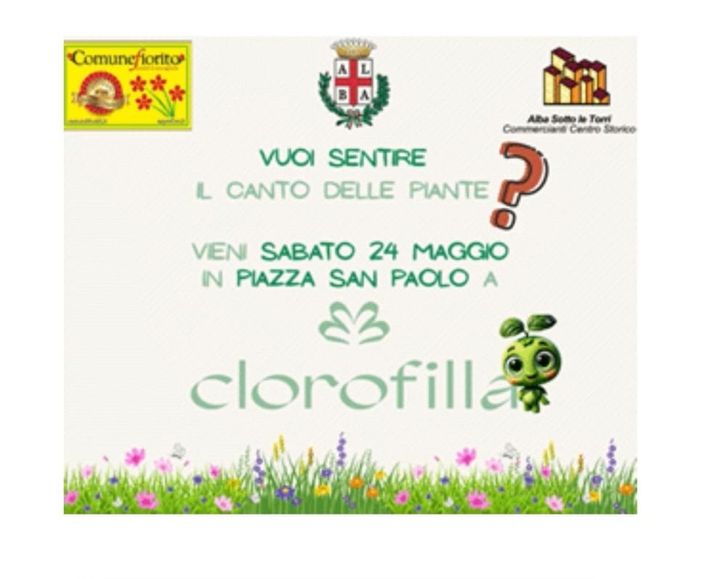 Clorofilla 2025: fiori, memoria e comunità Clorofilla 2025: fiori, memoria e comunità