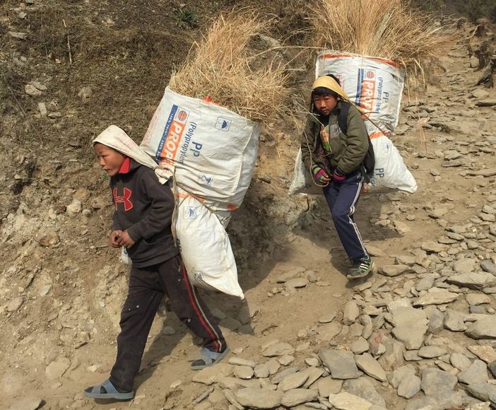 Immagine di repertorio