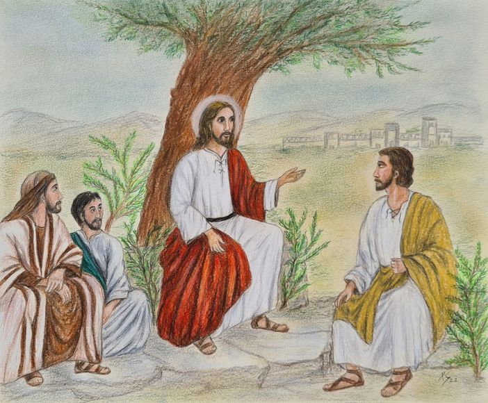 Schegge di Luce: pensieri sui Vangeli festivi di don Cosimo Monopoli