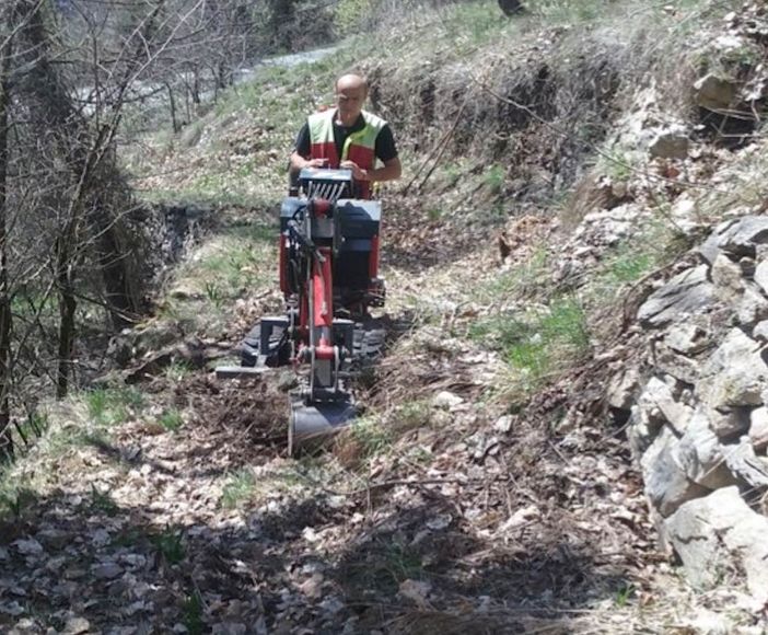 Gli operai forestali della Regione al lavoro Gli operai forestali della Regione al lavoro