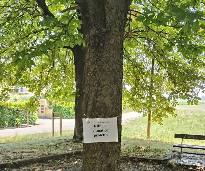 Una delle zone adibita a "Rifugio climatico protetto" di Trinità