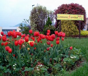 Asproflor scommette sui fiori e sul verde per promuovere il territorio