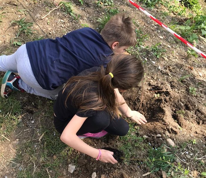 Giornata green a Roccabruna per la Festa degli alberi