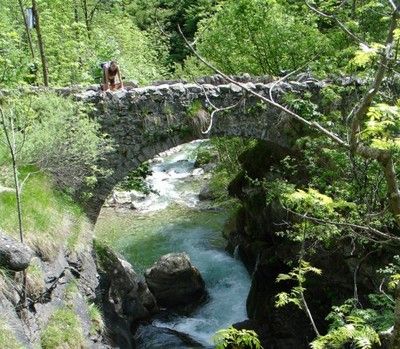 (foto archivio) (foto archivio)