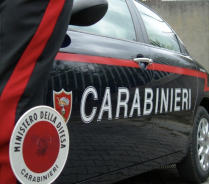 Avvelenato un cane a Sommariva del Bosco, probabile vittima di una faida tra vicini Avvelenato un cane a Sommariva del Bosco, probabile vittima di una faida tra vicini