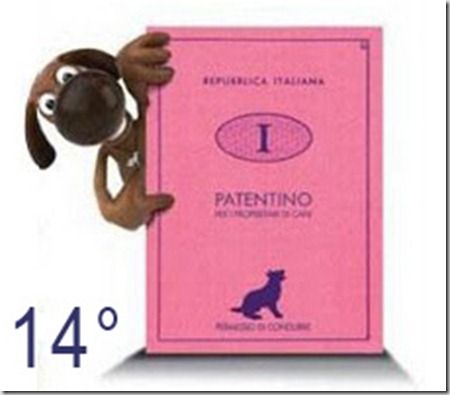 Bene Vagienna, corso formativo per i proprietari di cani con “patentino” finale