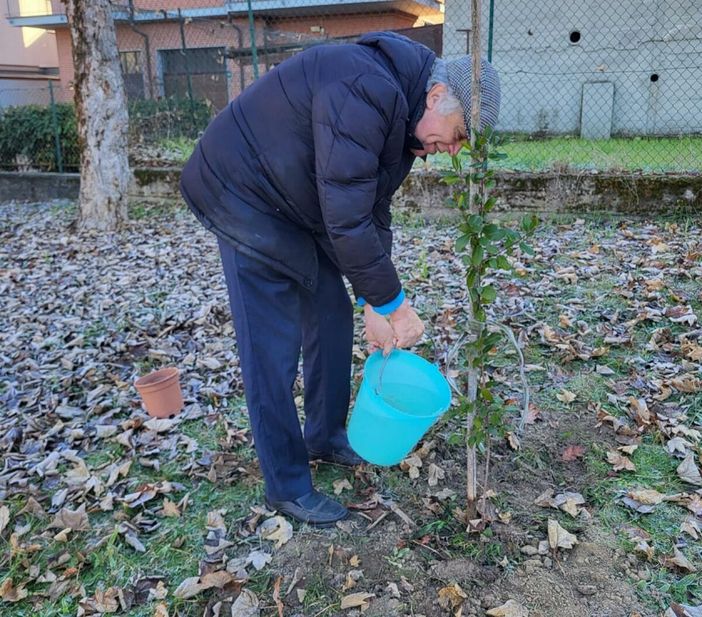 La piantumazione dell'albero, lo scorso sabato 28 novembre