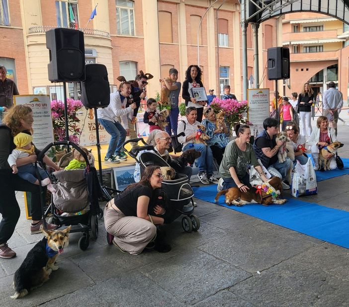 Nen Mac Tabui: un successo a Saluzzo la manifestazione degli amici a quattro zampe e accompagnatori Nen Mac Tabui: un successo a Saluzzo la manifestazione degli amici a quattro zampe e accompagnatori