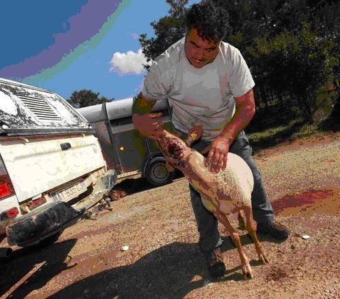 foto tratta da www,varmatin.fr