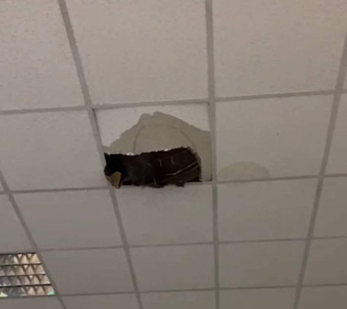 Crolla una porzione di soffitto ai licei di Mondovì [VIDEO]